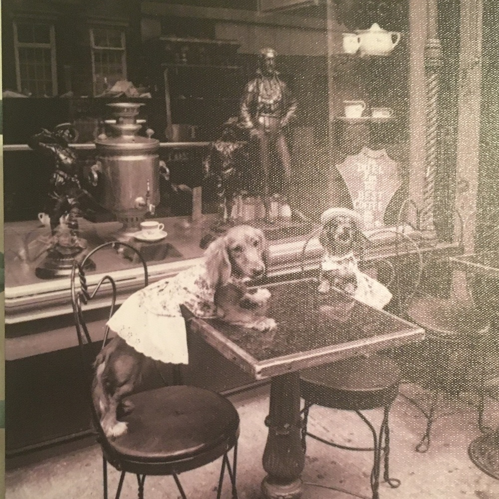 Matted picture of two dogs a a bistro